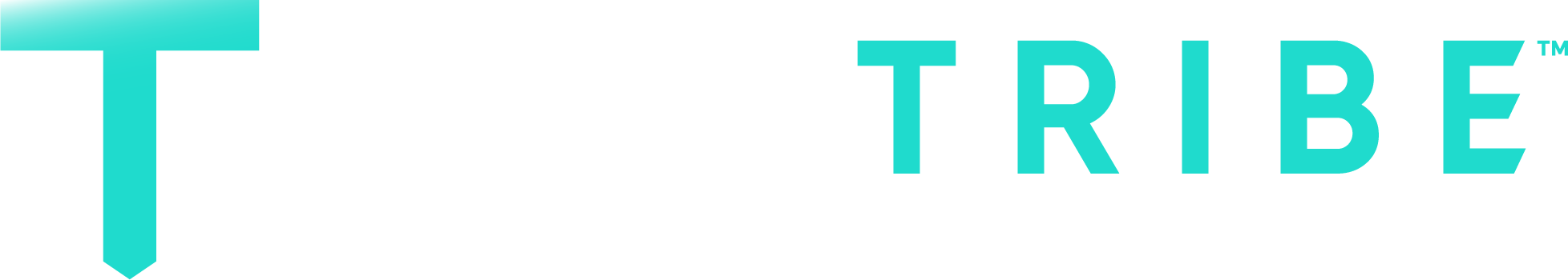 TecTribe